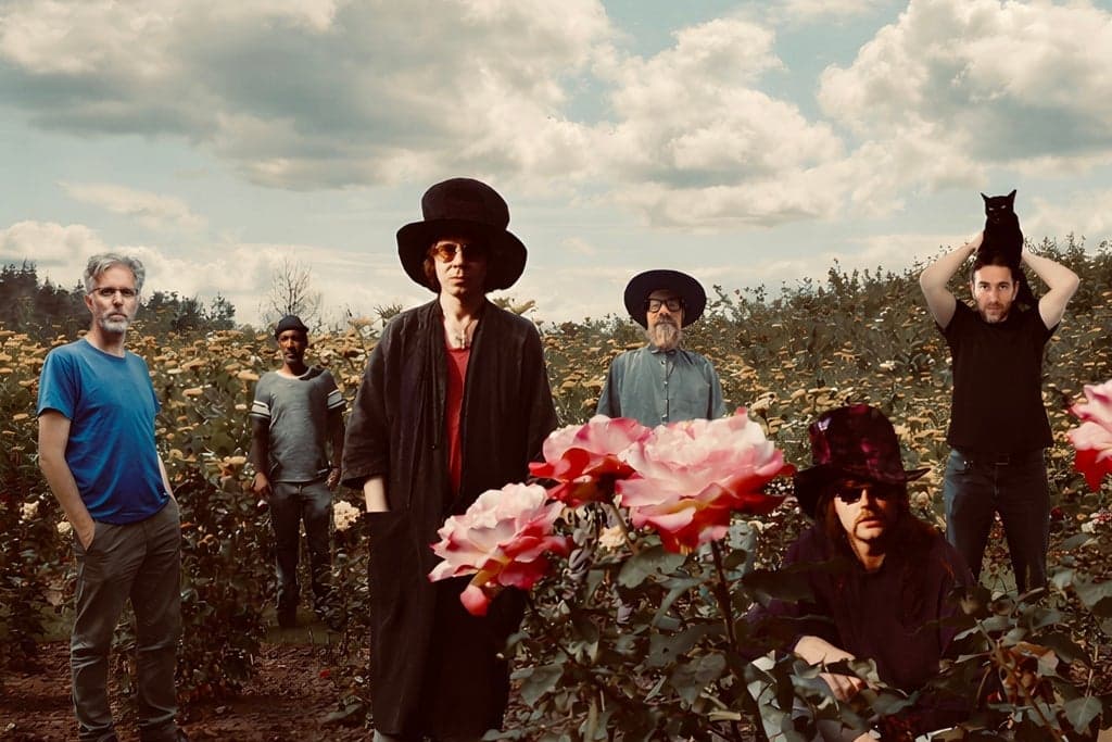 The Tear Garden