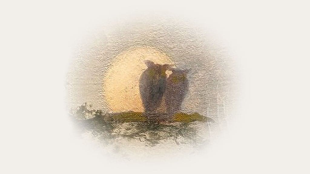 Paul Simon at Red Rocks Amphitheatre in Morrison - Upcoming