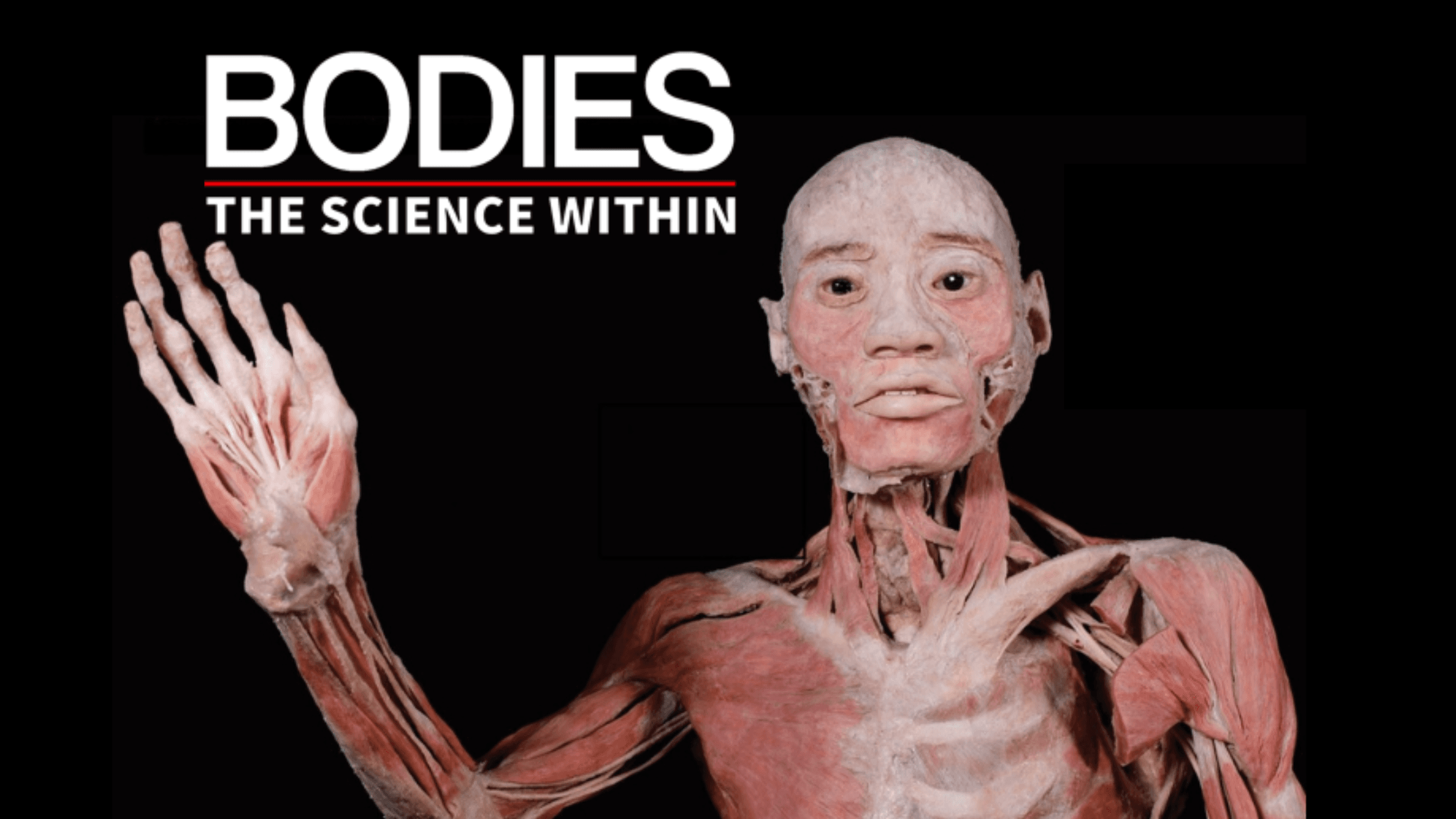 Bodies - The Science Within - Denver at Denver Pavilions in Denver - Today