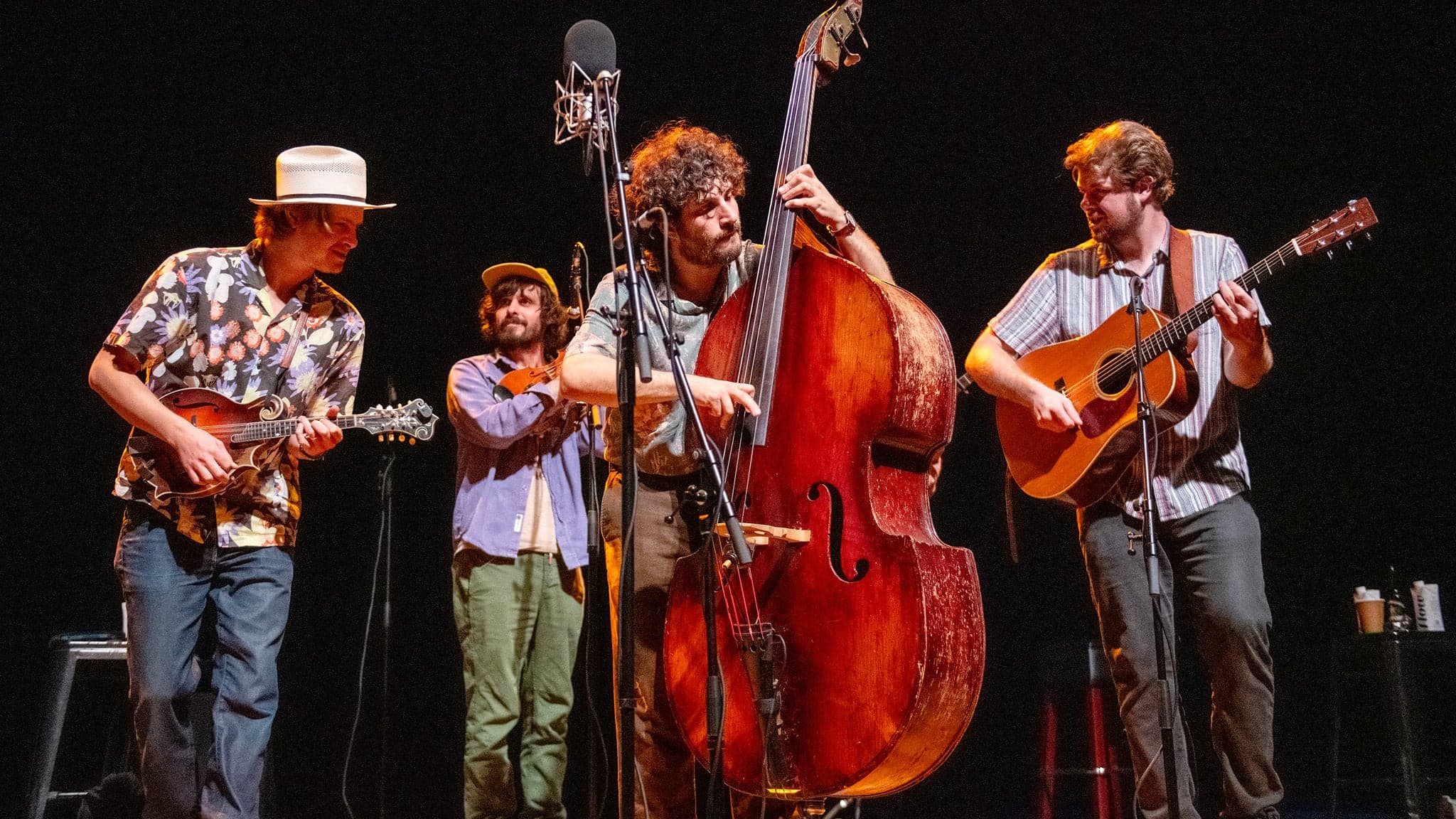 Sam Grisman Project - Photo 2