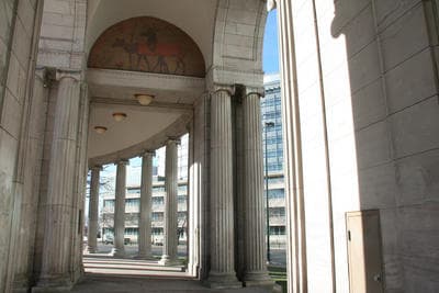 Elk Group and Buffalo