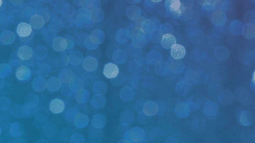 PWHL New York - Suites at Ball Arena in Denver - Today