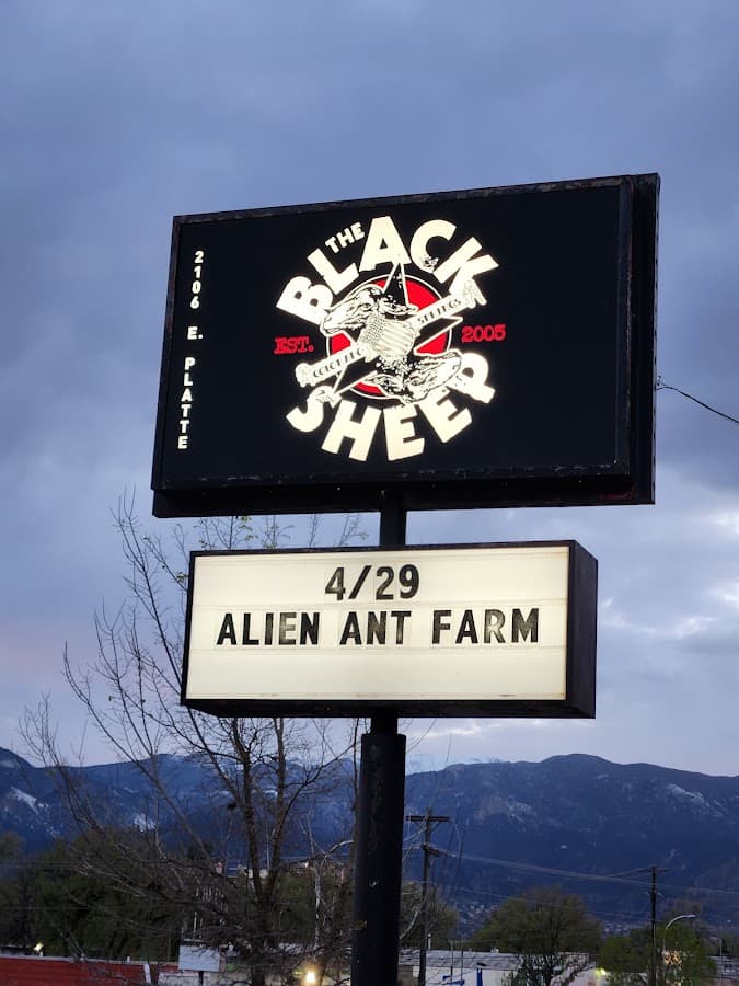 Black Sheep - Photo 2